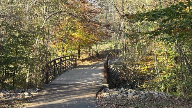 Joyner Park in Fall